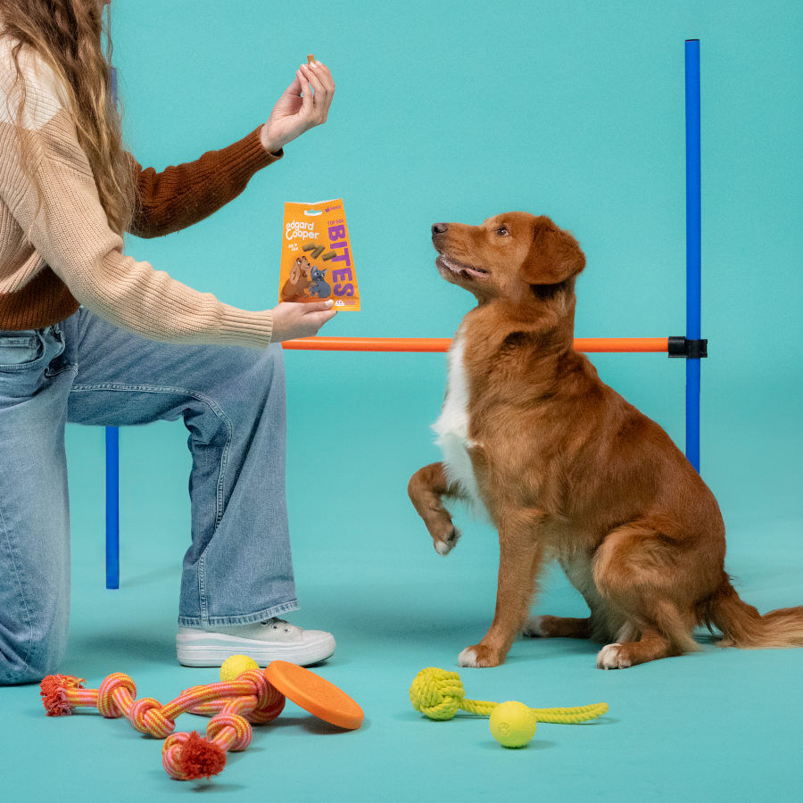 50 g Edgard & Cooper Bocaditos Grandes de Salm&oacute;n y Pollo snack  para perros, , large Imagen numero 3